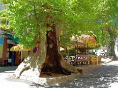 183 D32 BARJOLS_000023